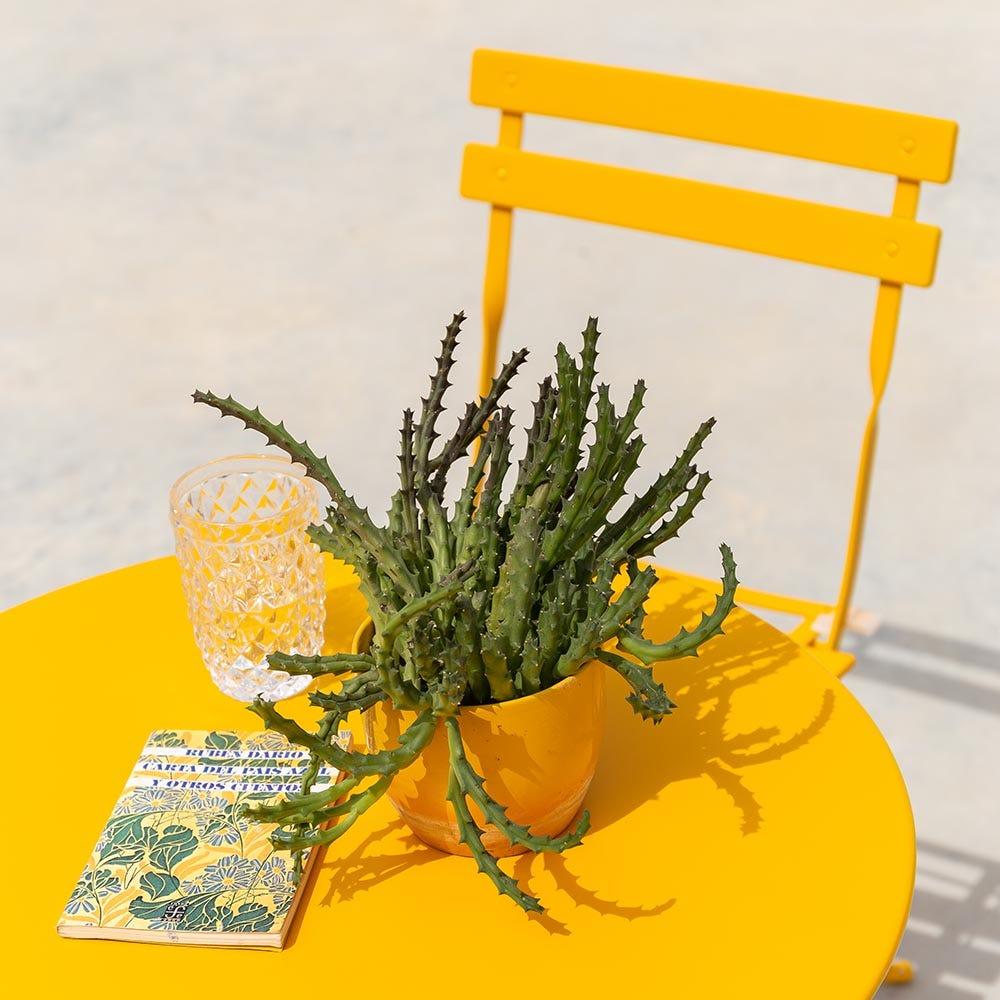 lolahome Pack de 2 sillas de jardín plegables Sira