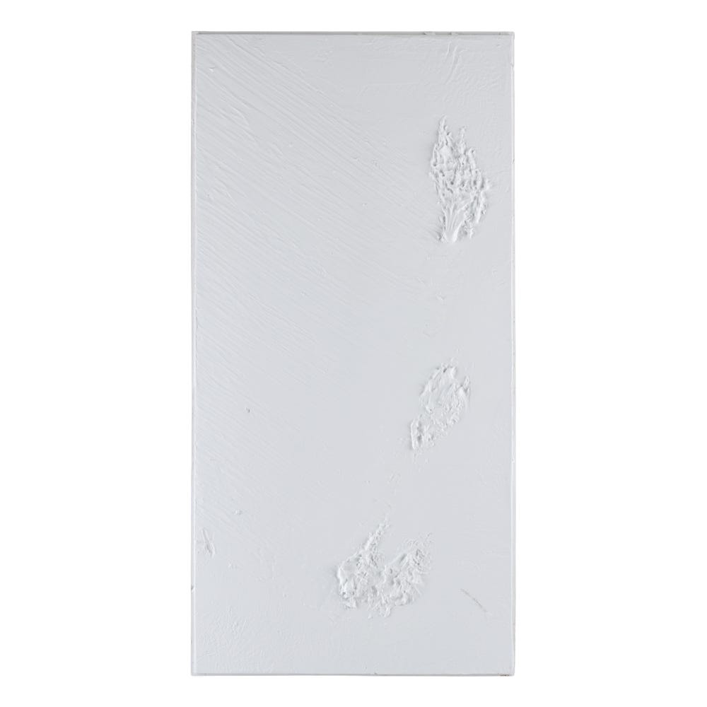 Lolahome Set De 2 Murales Abstractos De Madera De Abeto Blancos