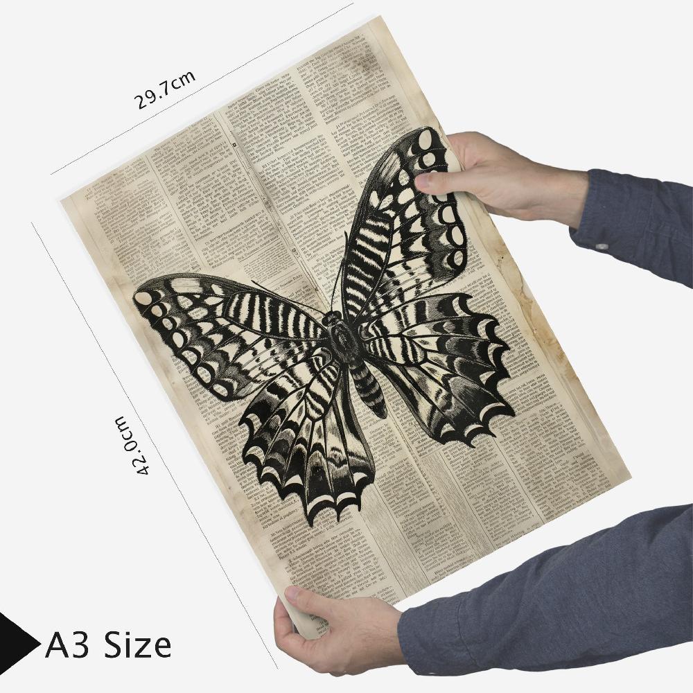 Nacnic Animales Vintage: Mariposa Ciervo Gato Pez Conejo Libélula - Láminas