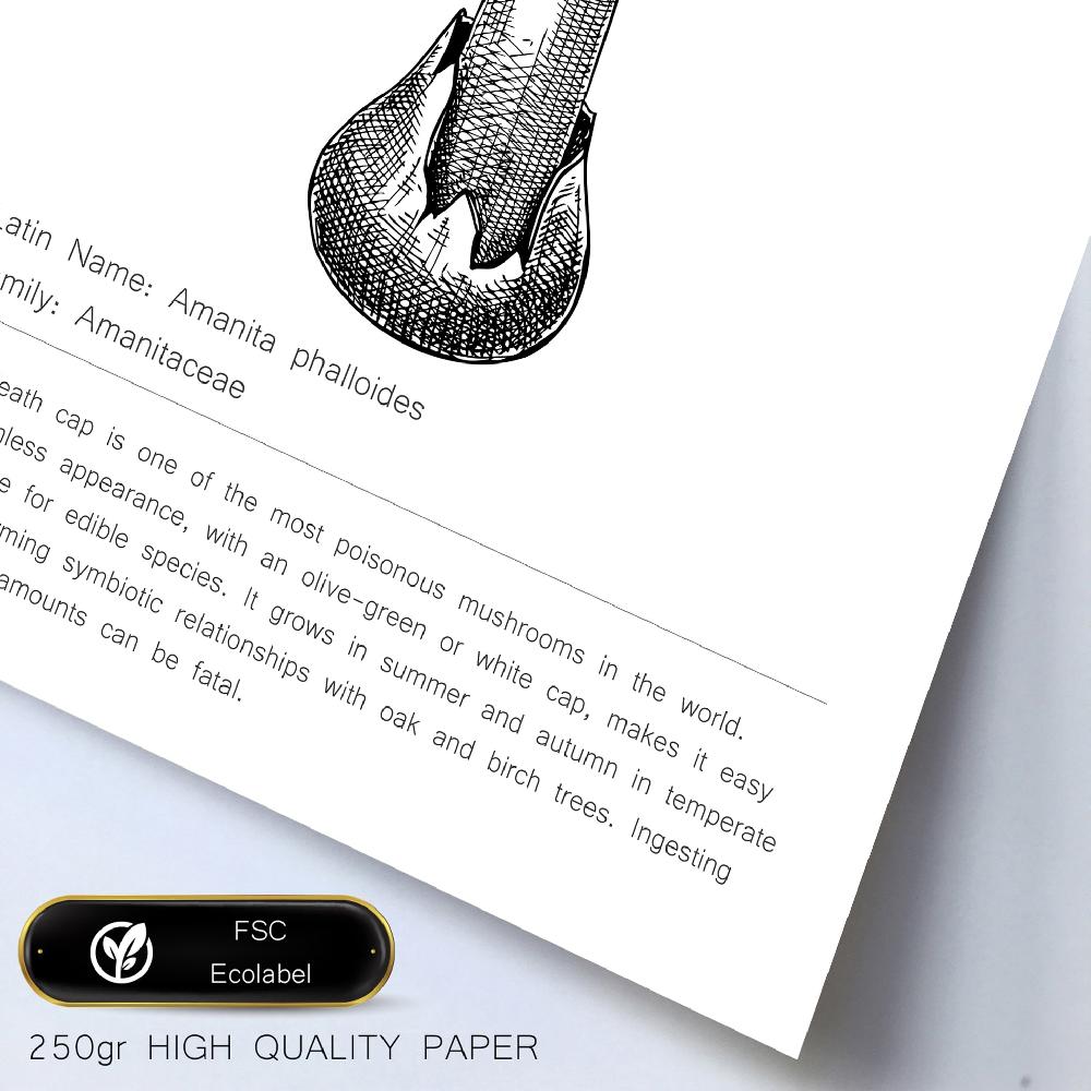 Nacnic Composicion Familias De Setas Blanco Y Negro