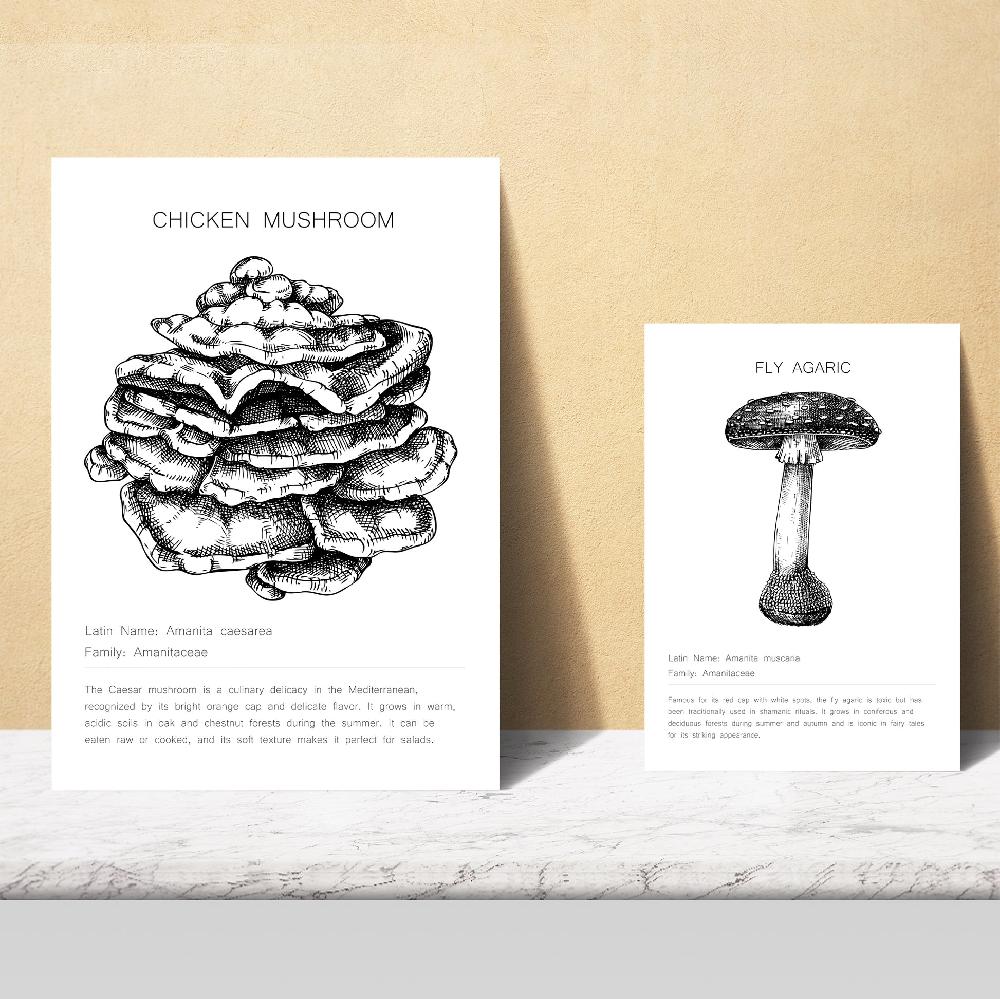 Nacnic Composicion Familias De Setas Blanco Y Negro