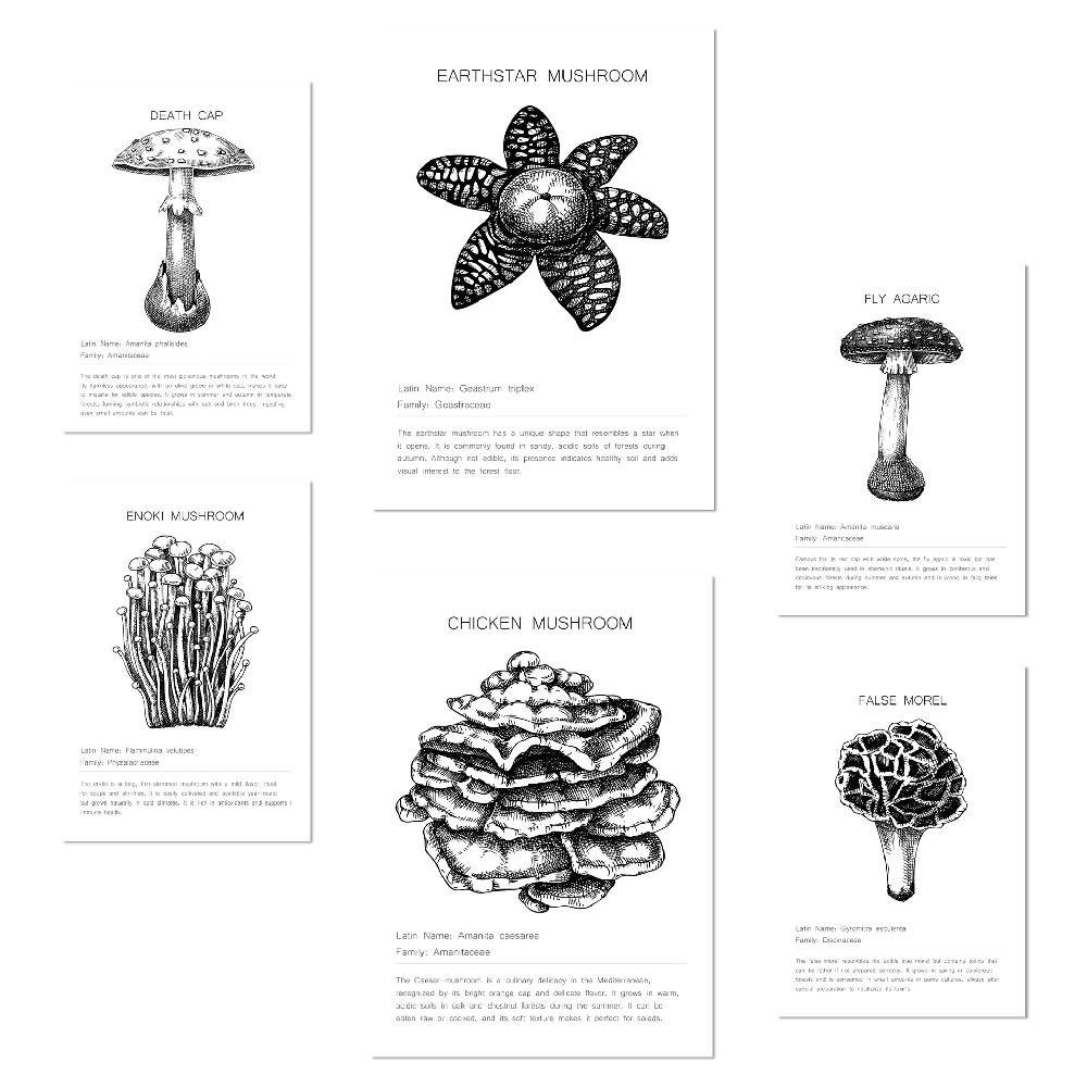 nacnic Composicion familias de setas blanco y negro