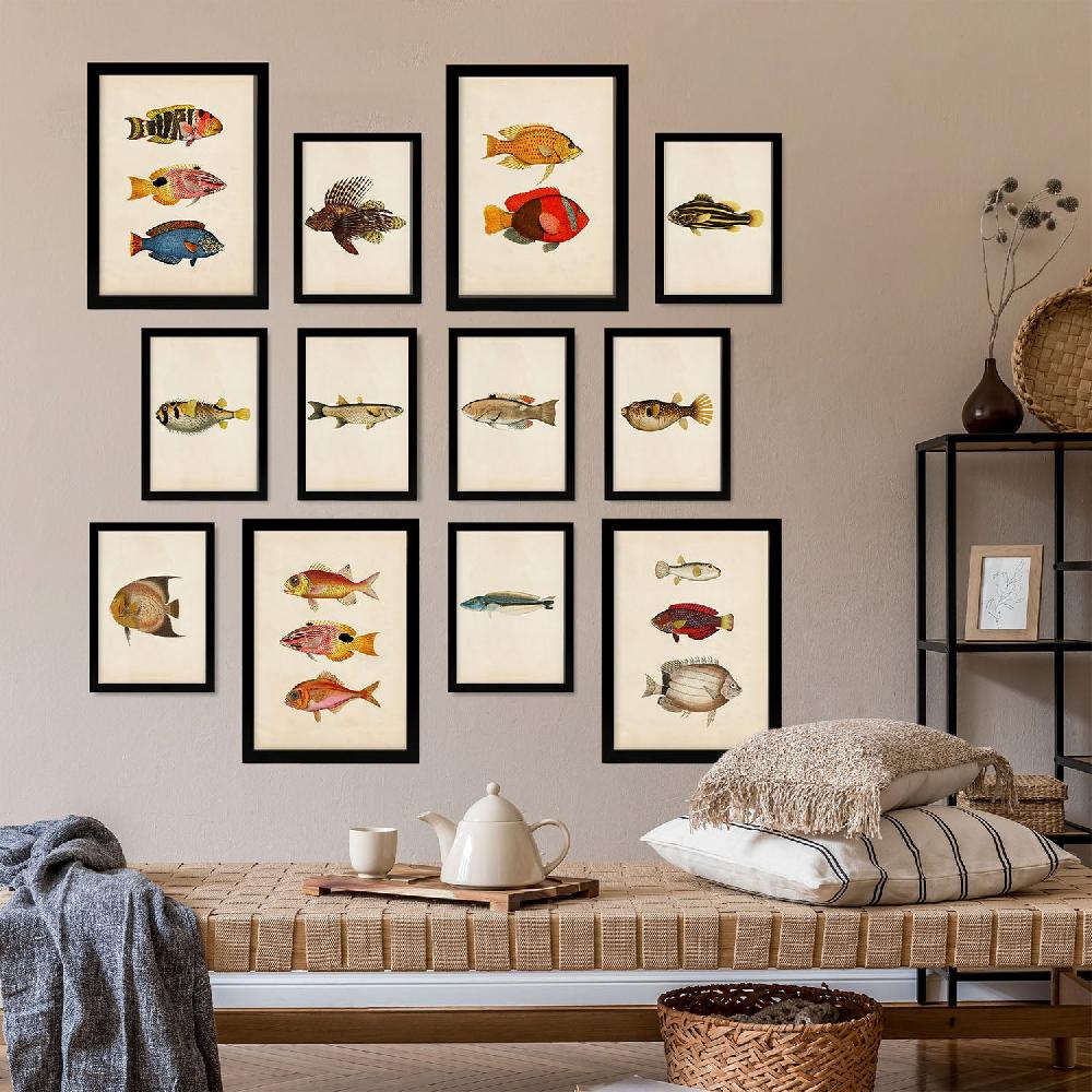 Nacnic Conjunto Arte De Peces Vintage - Láminas Estilo Mixto