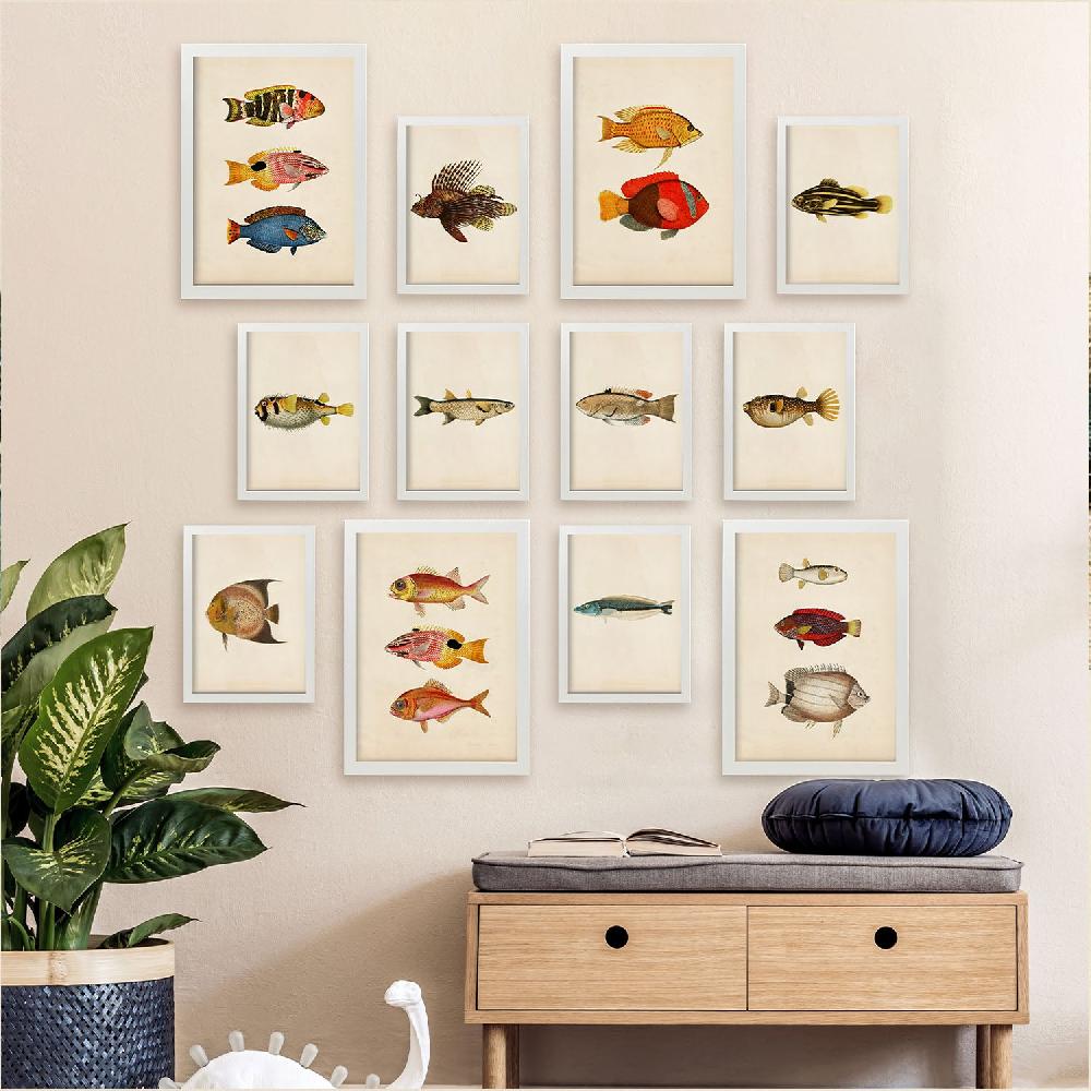Nacnic Conjunto Arte De Peces Vintage - Láminas Estilo Mixto