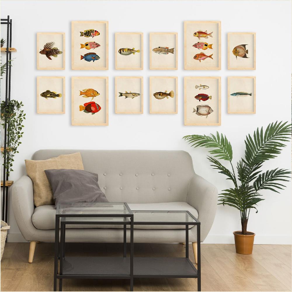 Nacnic Conjunto Arte De Peces Vintage - Láminas Estilo Mixto