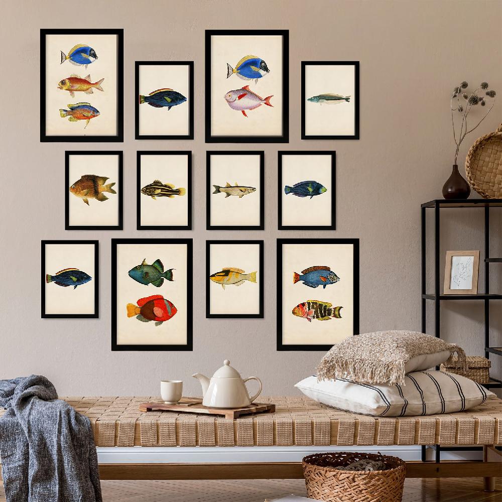 Nacnic Conjunto De 12 Láminas Pez Vintage 1 - Estilo Mixto Y Colores Vibrantes