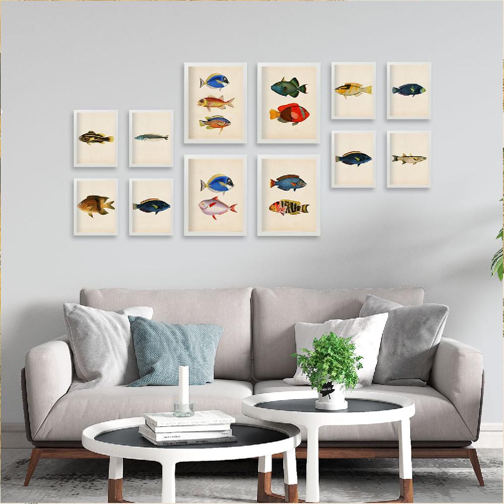 Nacnic Conjunto De 12 Láminas Pez Vintage 1 - Estilo Mixto Y Colores Vibrantes