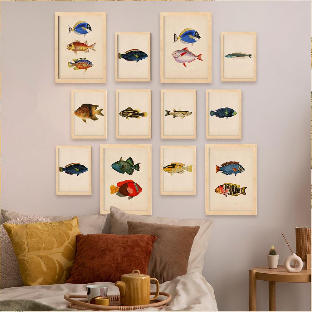Nacnic Conjunto De 12 Láminas Pez Vintage 1 - Estilo Mixto Y Colores Vibrantes