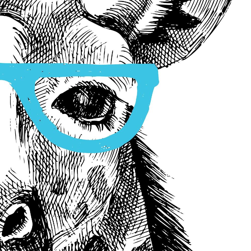 Nacnic Conjunto De Dos Láminas De Animales Ilustrados Nacnic
