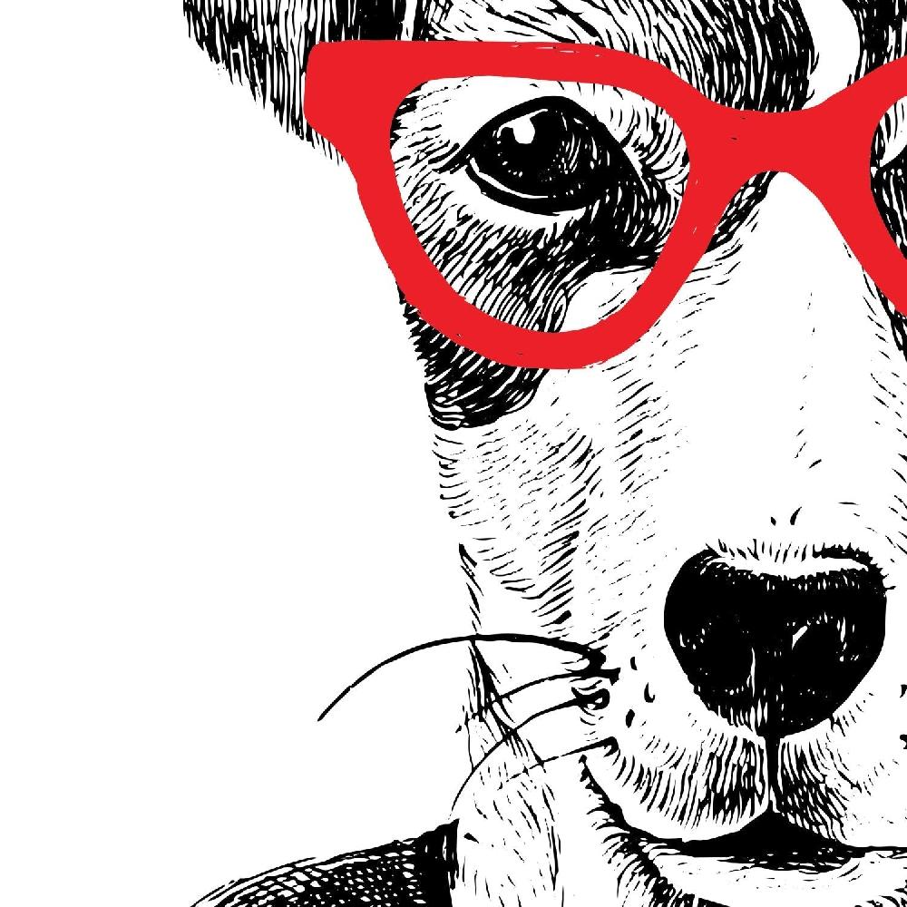 Nacnic Conjunto De Dos Láminas De Animales Ilustrados Nacnic
