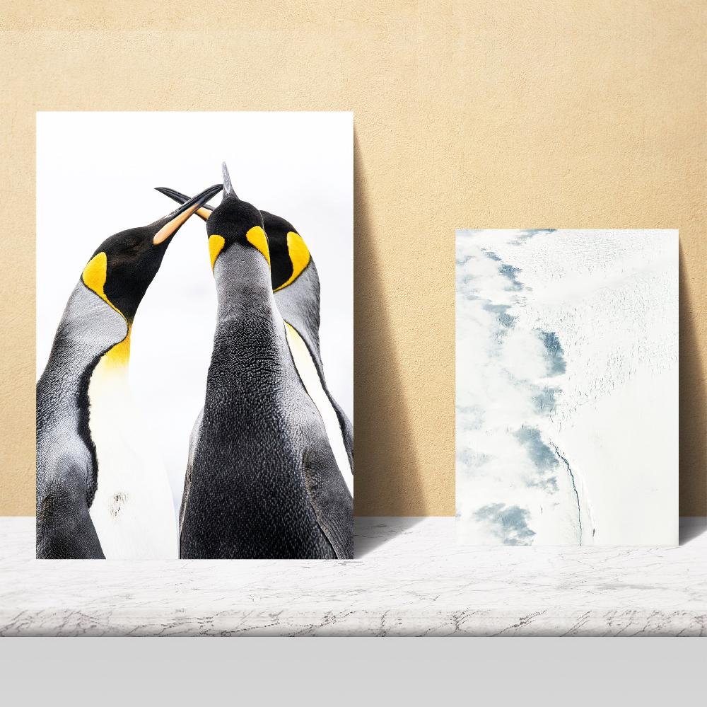 Nacnic Hielo En Antardida. Oso Y Pinguinos En Aguas Turquesas