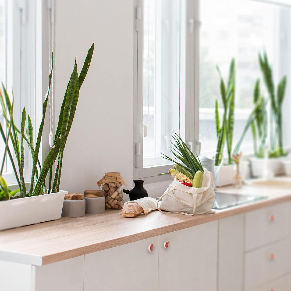 Nacnic Juego De 6 Pomos Tiradores De Piedra En Tono Hueso Para Muebles Y Cocina