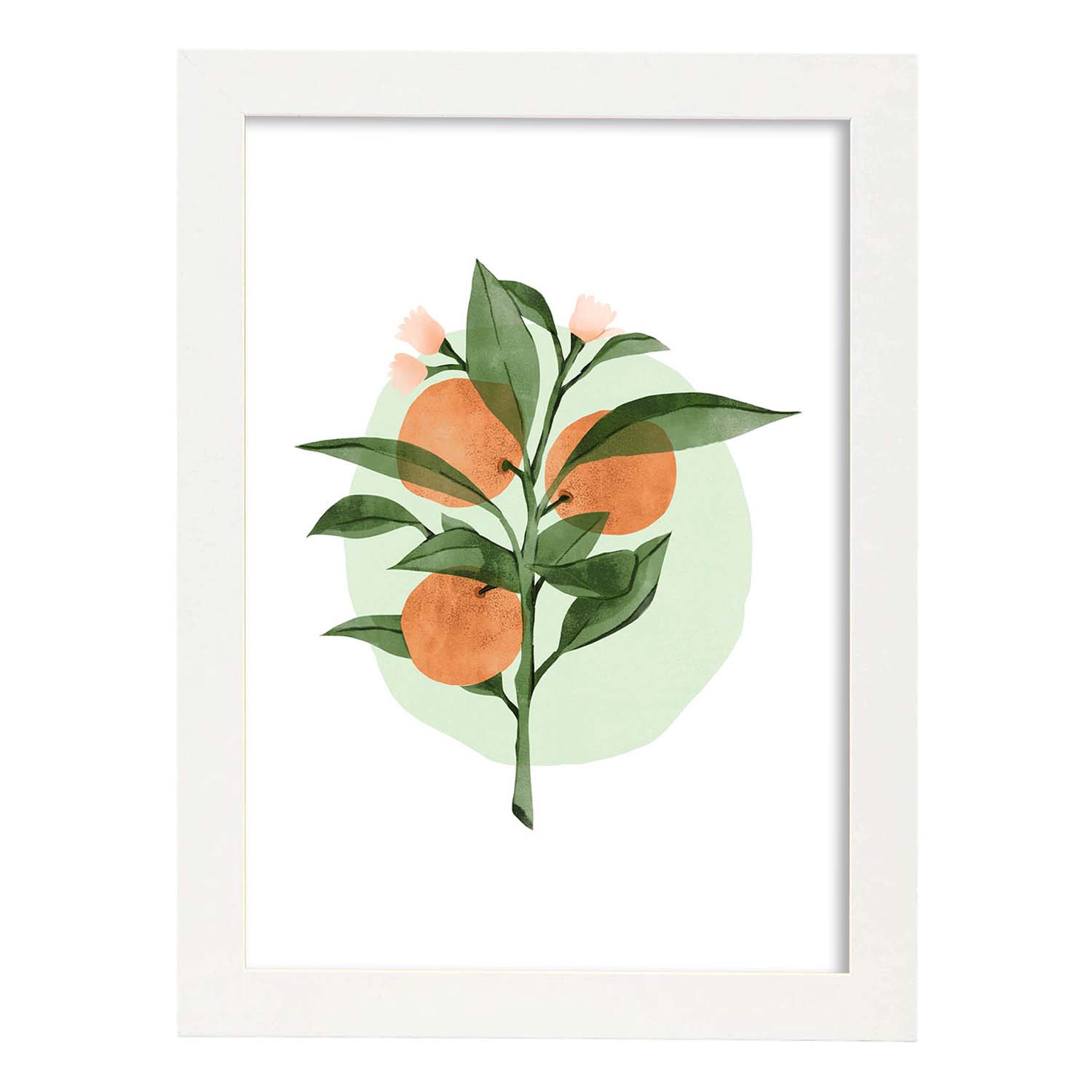 Nacnic Lámina Botánica De Acuarela 7 Con Ilustraciones De Plantas Y Flores