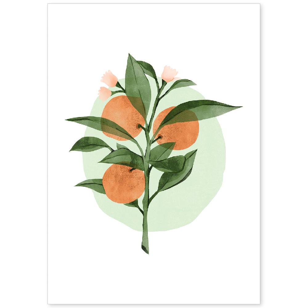 nacnic Lámina Botánica de Acuarela 7 con Ilustraciones de Plantas y Flores