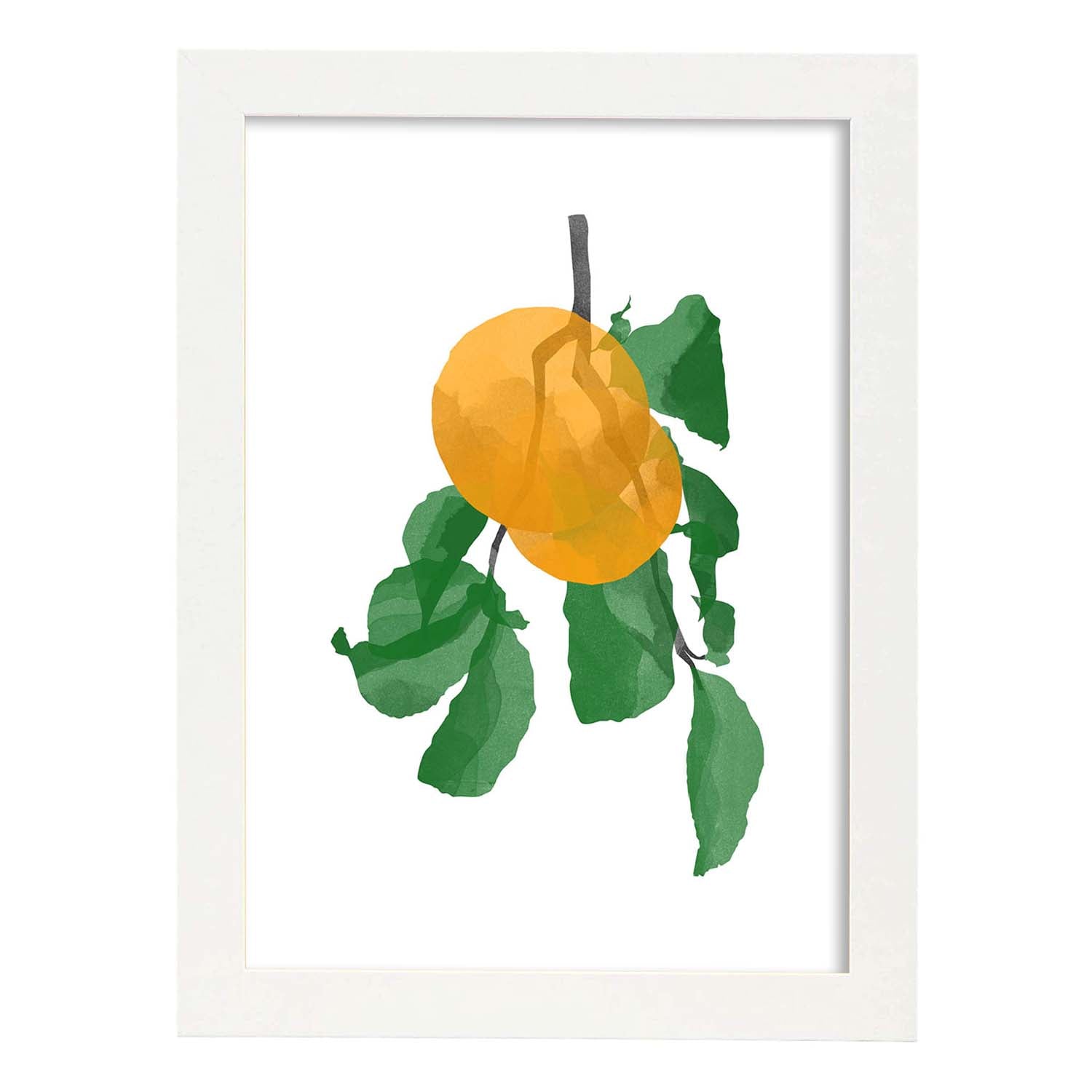 Nacnic Lámina Botánica De Acuarela Con Ilustraciones De Plantas Y Flores