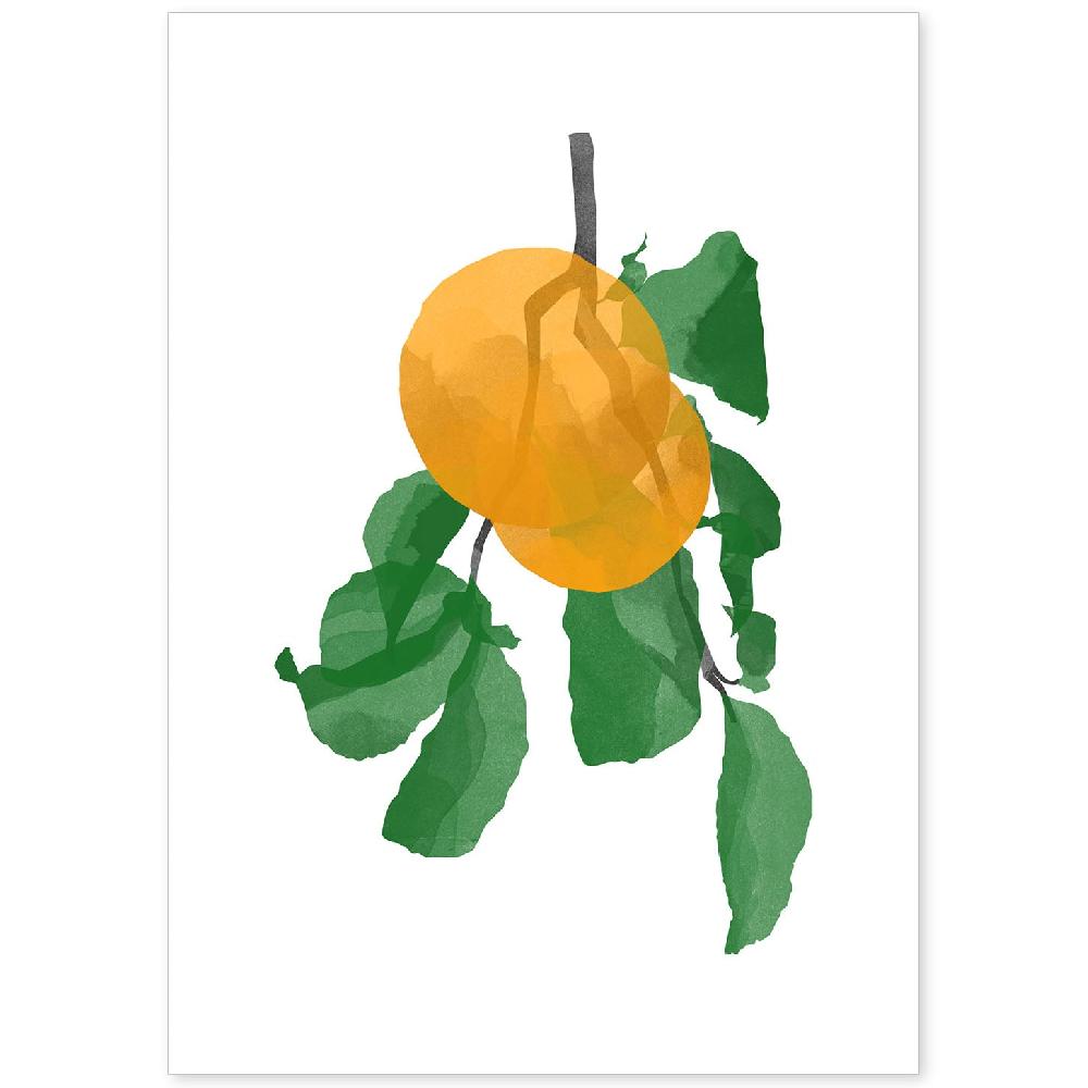 nacnic Lámina Botánica de Acuarela con Ilustraciones de Plantas y Flores