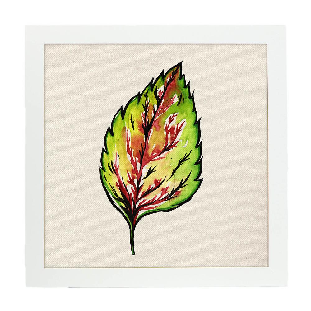 Nacnic Lámina Cuadrada De Flores Y Naturaleza Ilustrada
