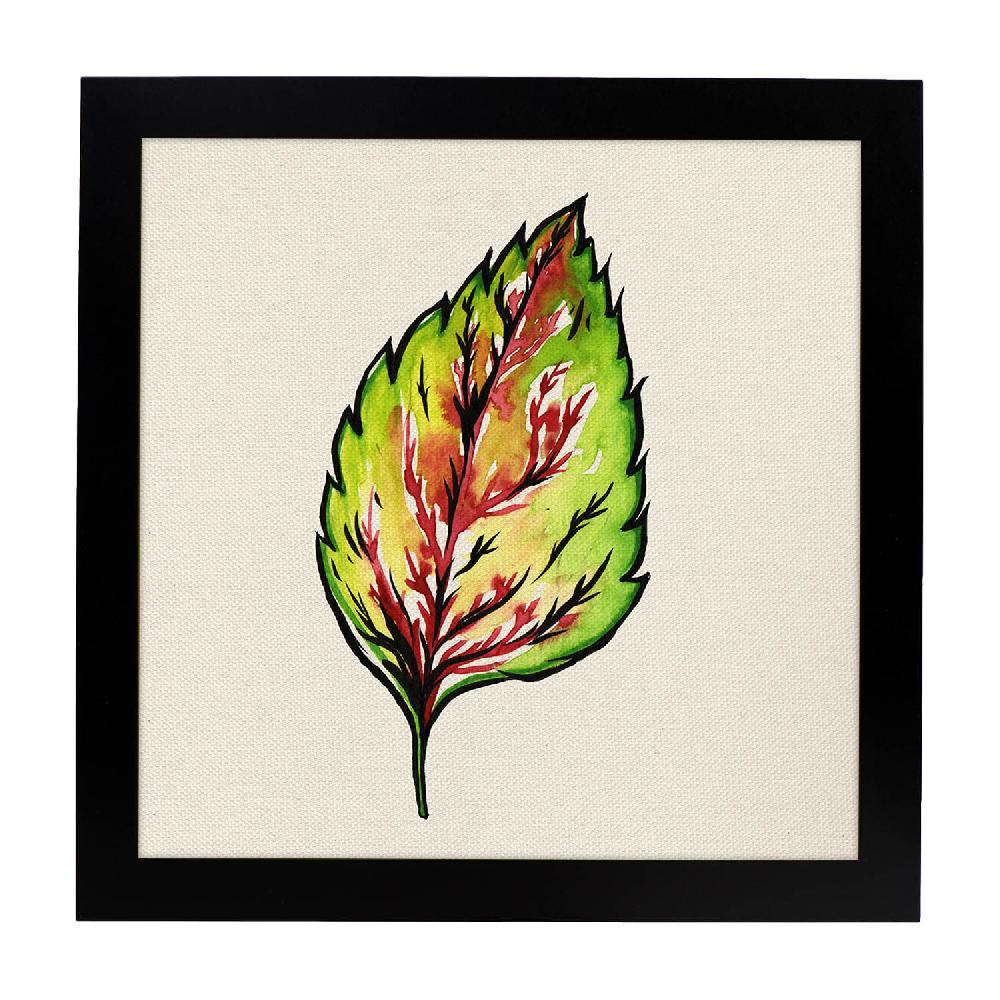 Nacnic Lámina Cuadrada De Flores Y Naturaleza Ilustrada
