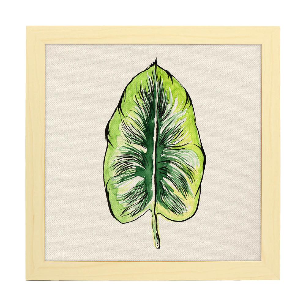 Nacnic Lámina Cuadrada De Flores Y Naturaleza Ilustrada