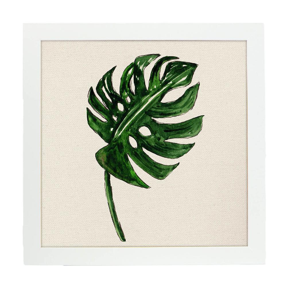 Nacnic Lámina Cuadrada De Hoja Abanico Con Dibujos A Color