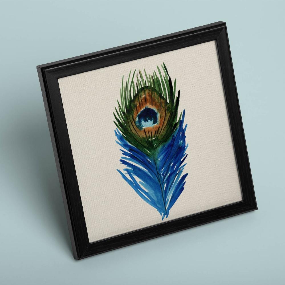 nacnic Lámina Cuadrada Ojo de Pluma con Dibujos a Color