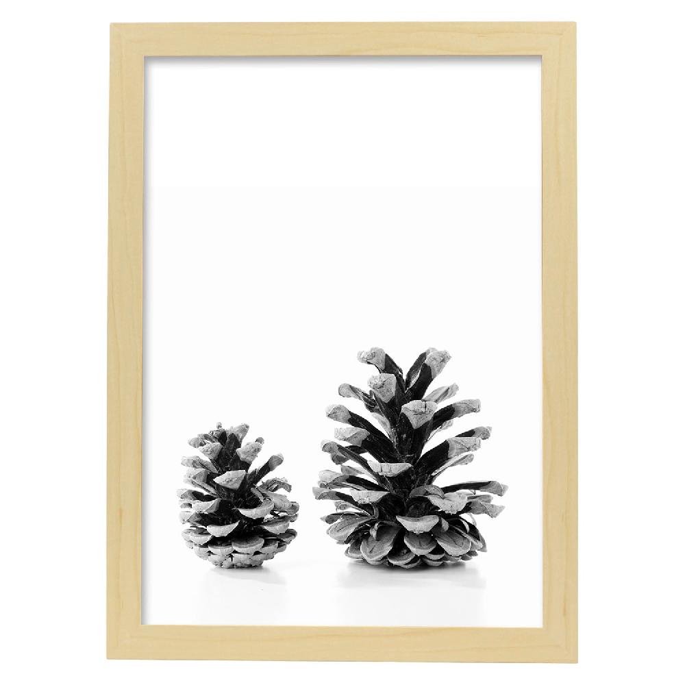 Nacnic Lámina De Dos Piñas De Pino En Blanco Y Negro