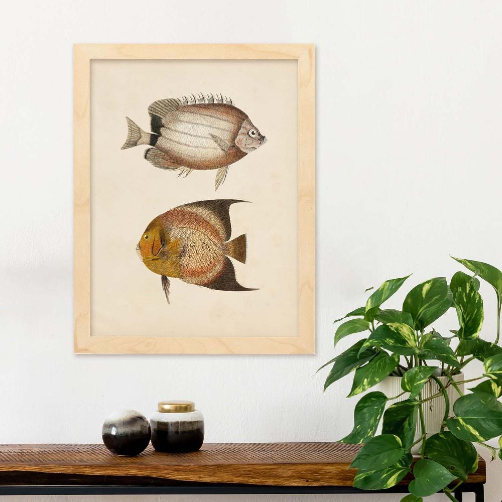 Nacnic Lámina De Peces Marrón Y Naranja En Papel Vintage