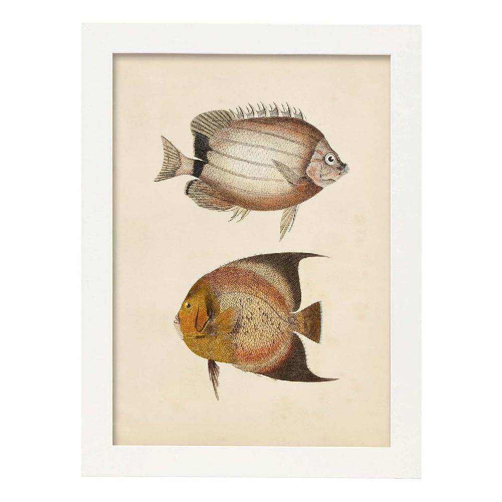 Nacnic Lámina De Peces Marrón Y Naranja En Papel Vintage