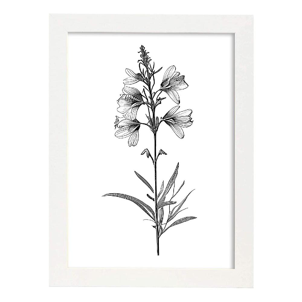 Nacnic Lámina Minimalista De Flor De Espuela De Nacnic