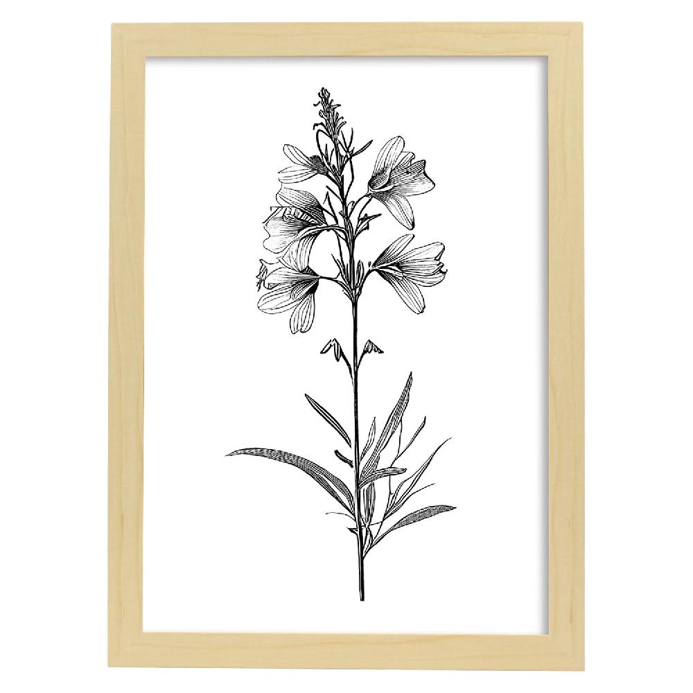 Nacnic Lámina Minimalista De Flor De Espuela De Nacnic