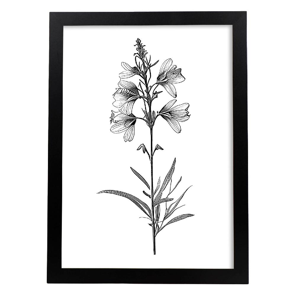 nacnic Lámina Minimalista de Flor de Espuela de Nacnic