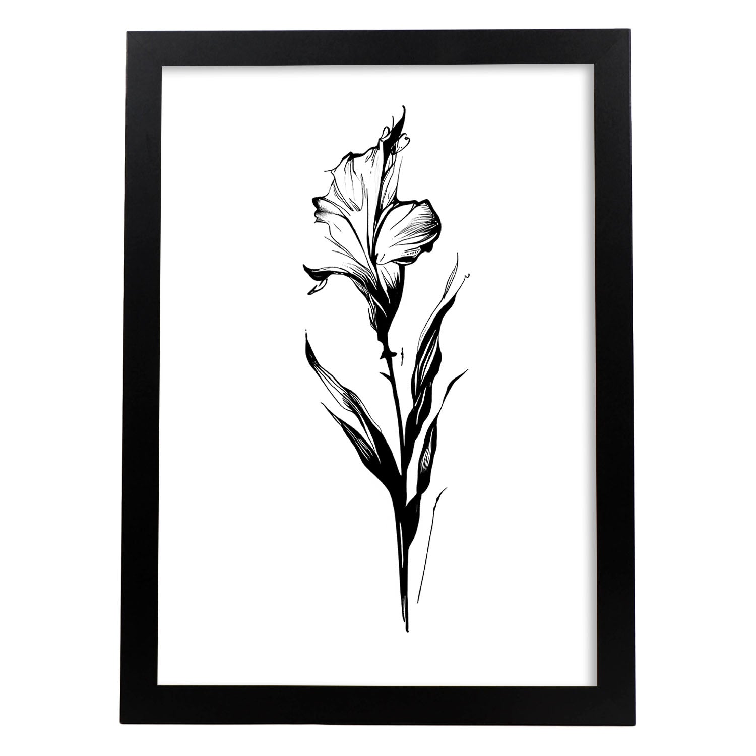 nacnic Lámina Nacnic de Gladiolus en Arte Minimalista