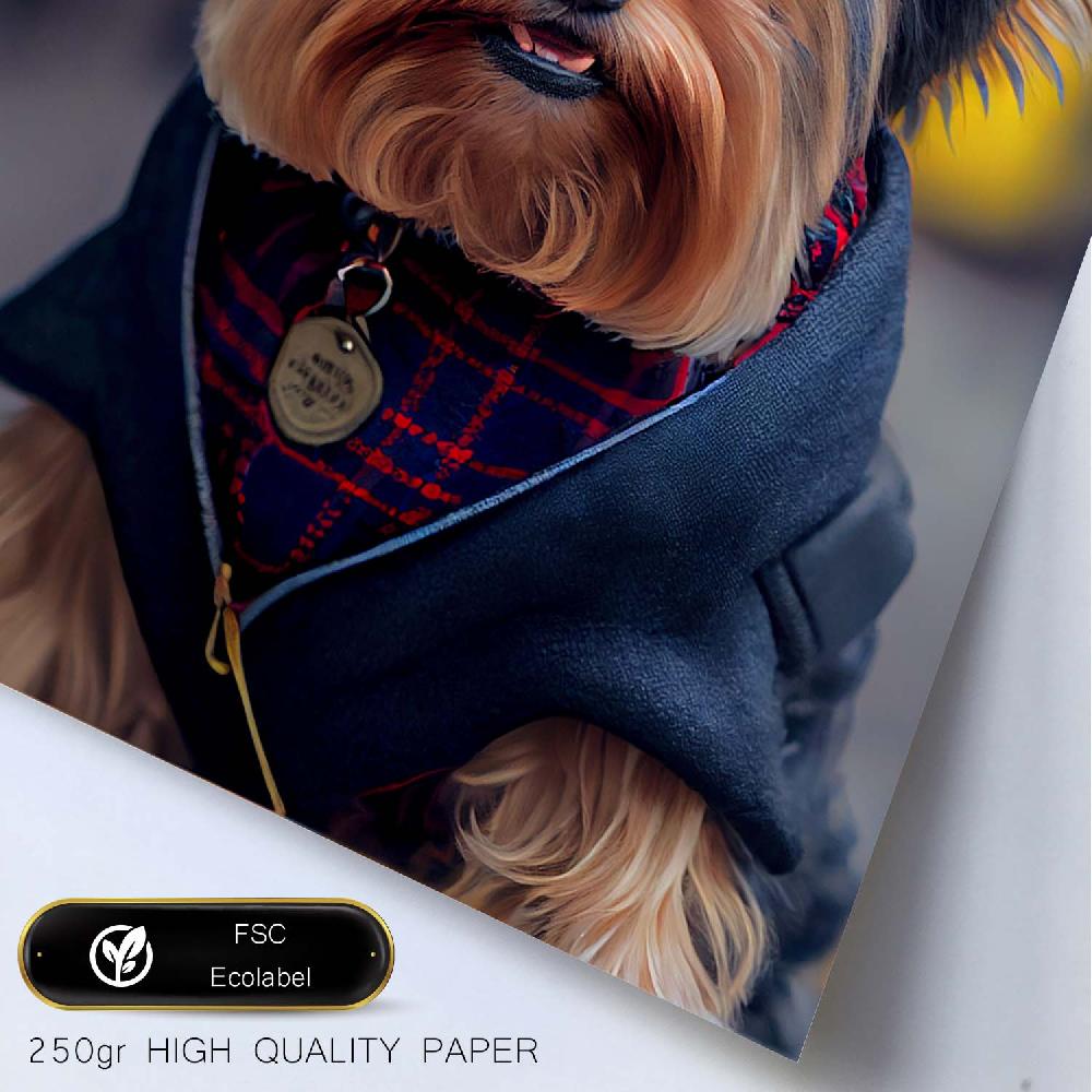 Nacnic Lámina Nacnic De Yorkshire Terrier Con Ropa Humana En Fotografía A Color