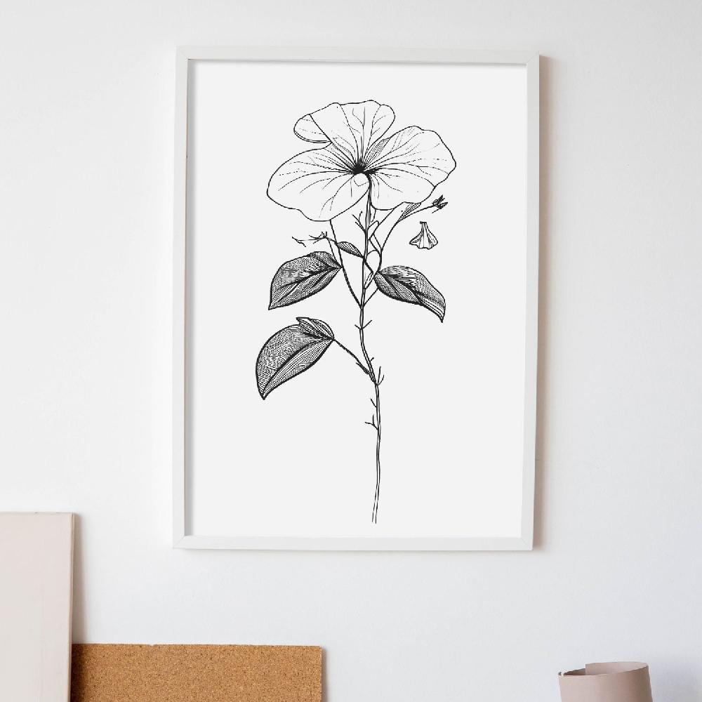 Nacnic Lámina Nacnic Impatiens Arte Minimalista Lineal_2