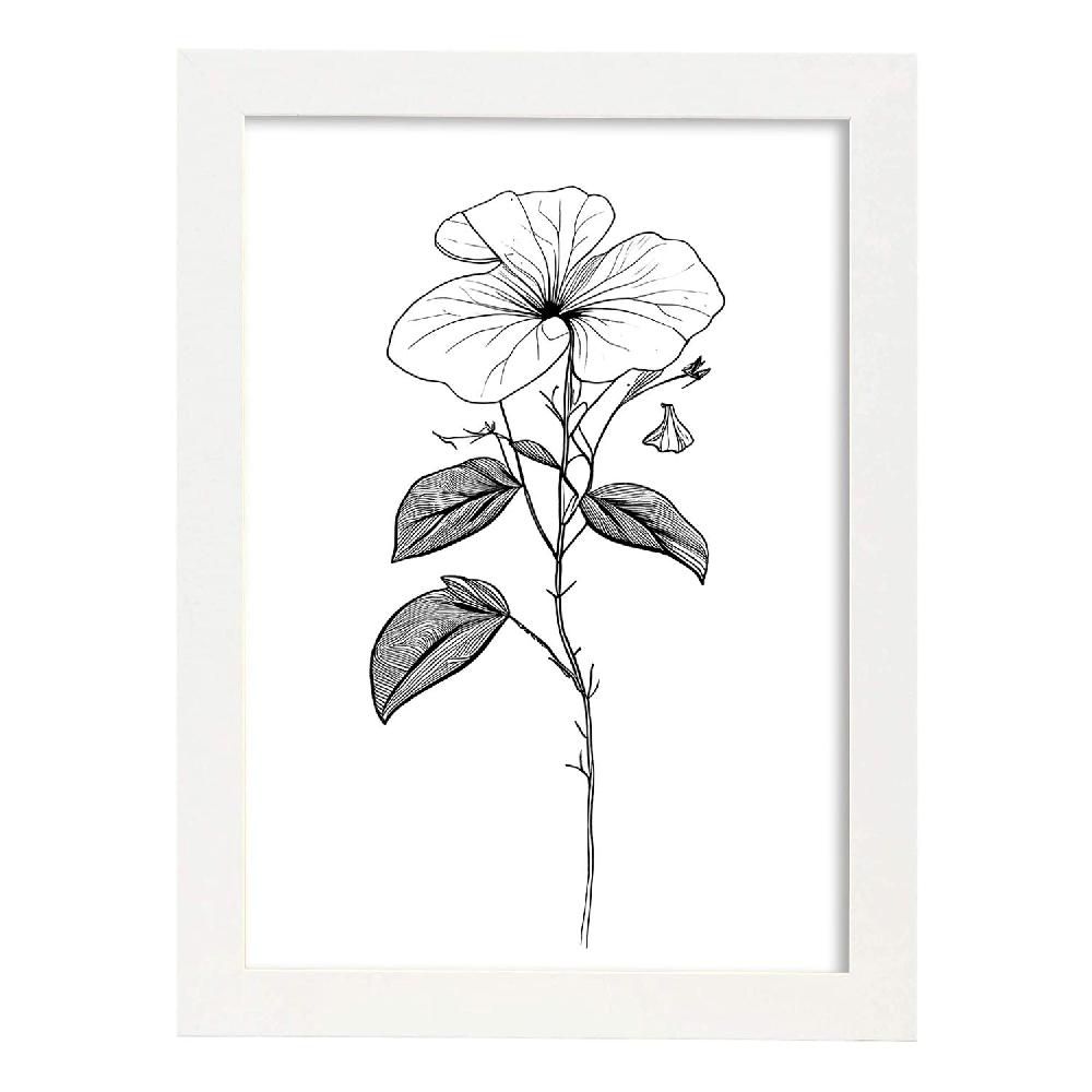 Nacnic Lámina Nacnic Impatiens Arte Minimalista Lineal_2