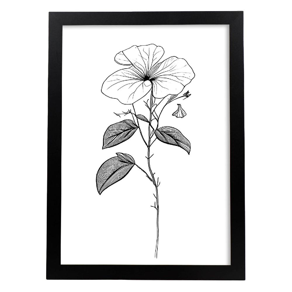 nacnic Lámina Nacnic Impatiens Arte Minimalista Lineal_2