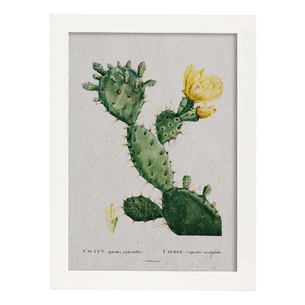 Nacnic Lámina Naturaleza Acuarela De Pierre-Joseph Redouté