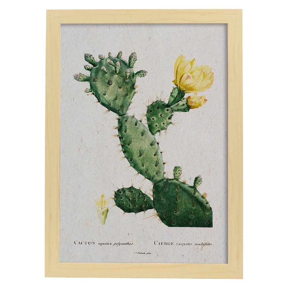 Nacnic Lámina Naturaleza Acuarela De Pierre-Joseph Redouté