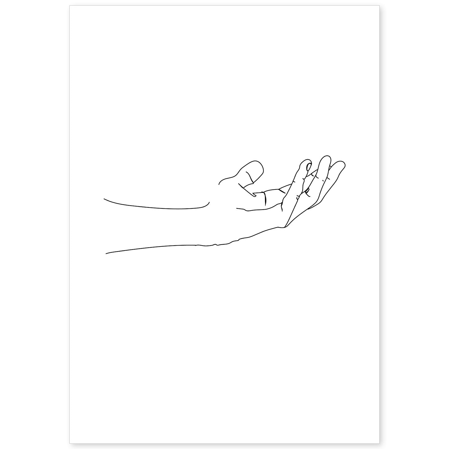 nacnic Lámina nordica de dibujos y bocetos a una línea