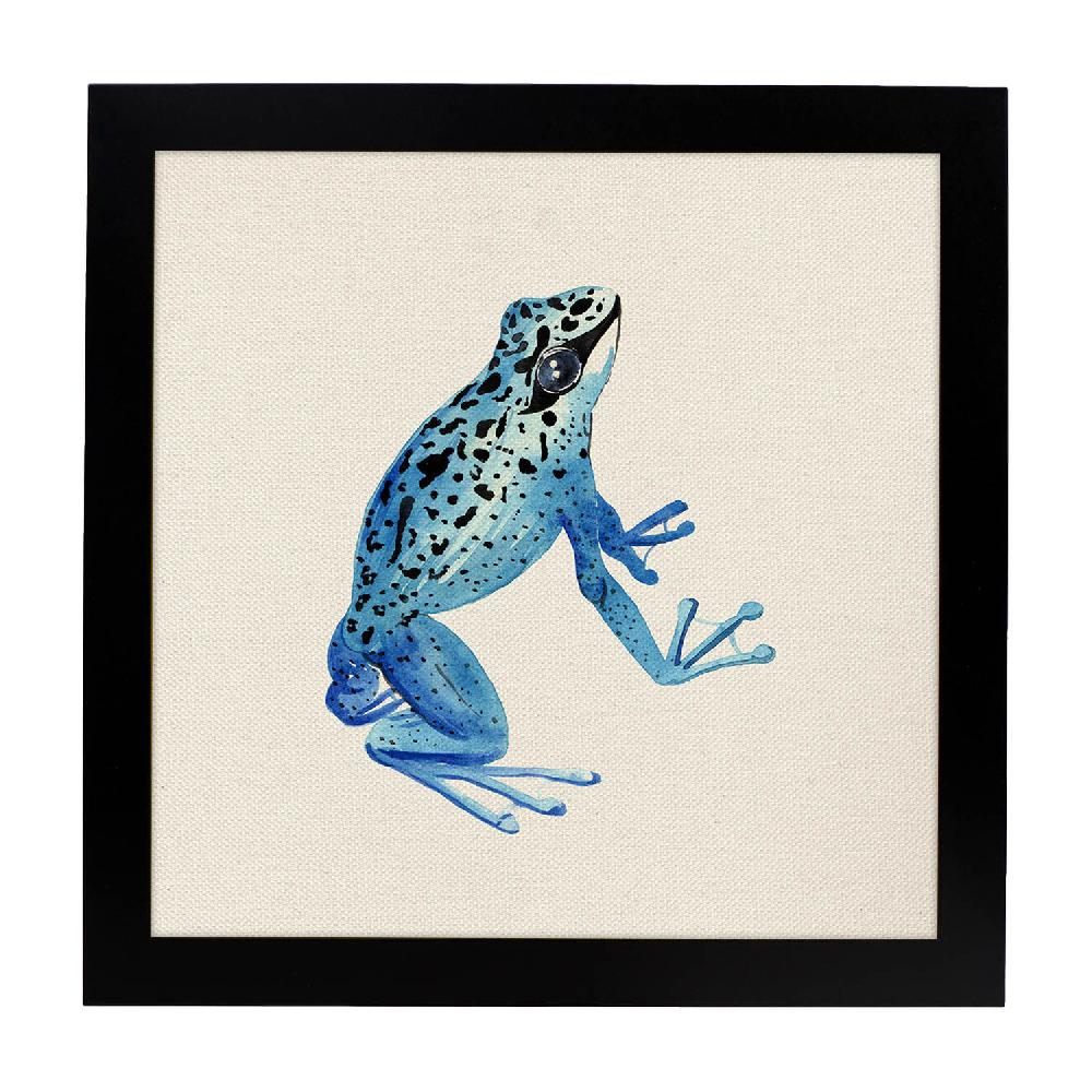 Nacnic Lámina Soy Tu Principe Con Dibujos De Ranas Y Tortugas