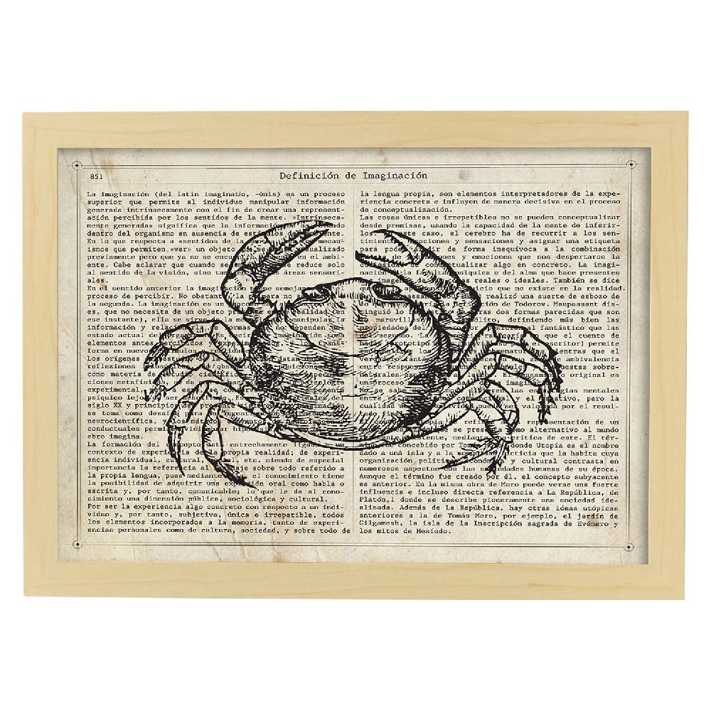 Nacnic Lámina Vintage De Cangrejo Con Texto Y Definición