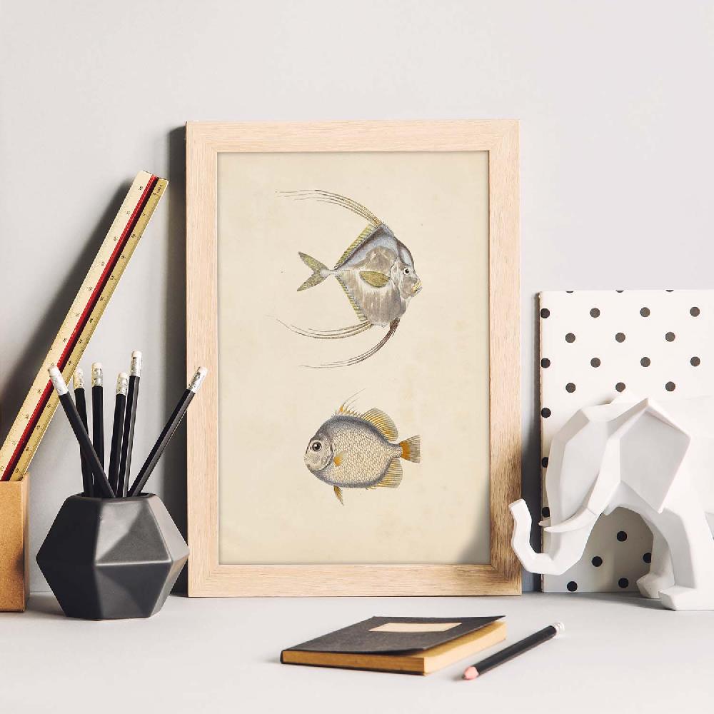 Nacnic Lámina Vintage De Dos Peces Gris Naranja Y Beige