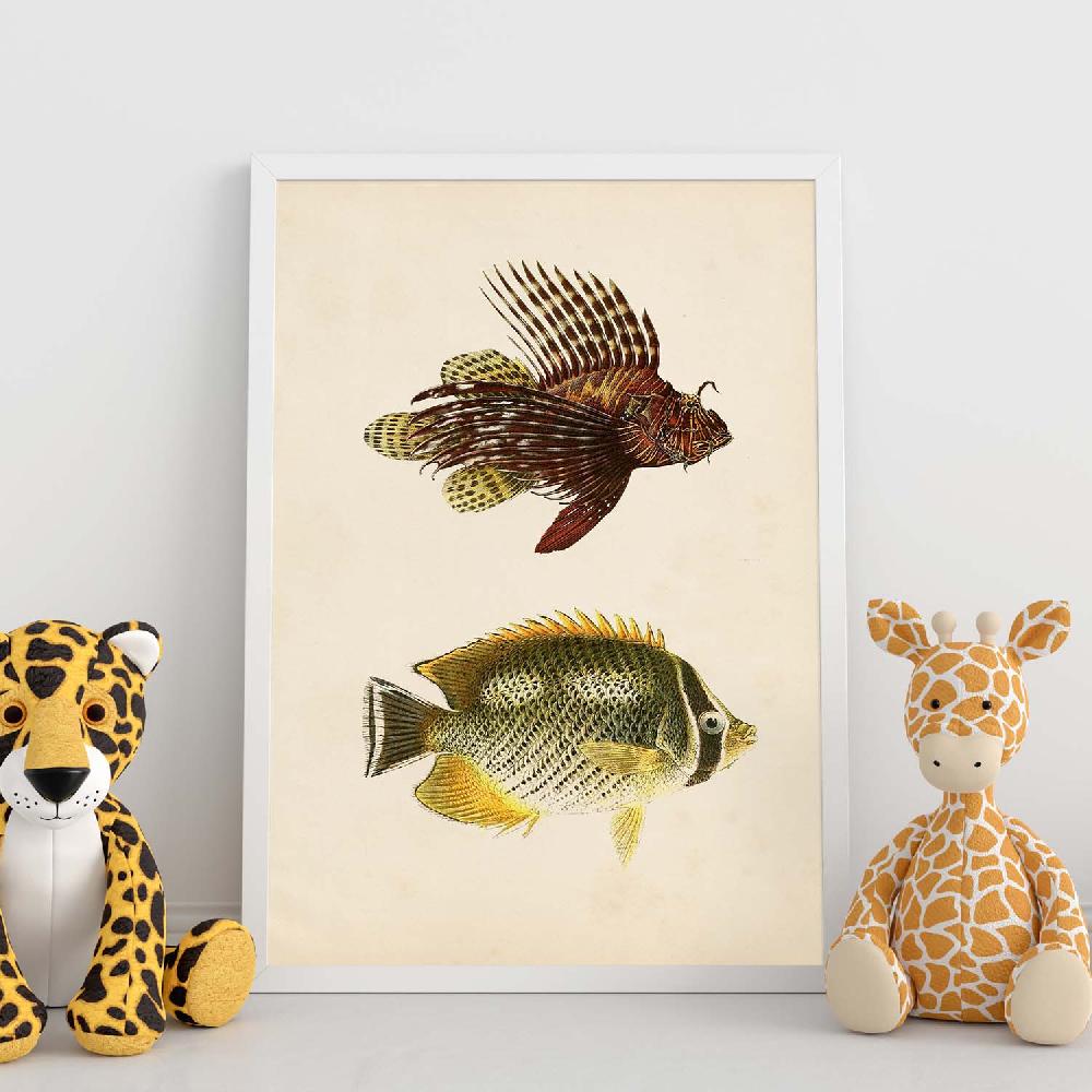 Nacnic Lámina Vintage De Dos Peces Marrón Amarillo Y Verde
