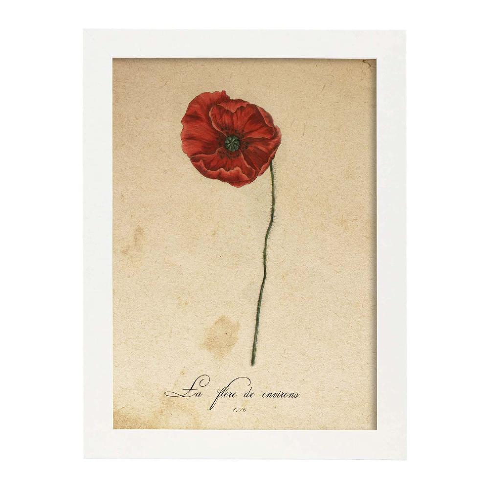 Nacnic Lámina Vintage De Flores La Flore Des Environs