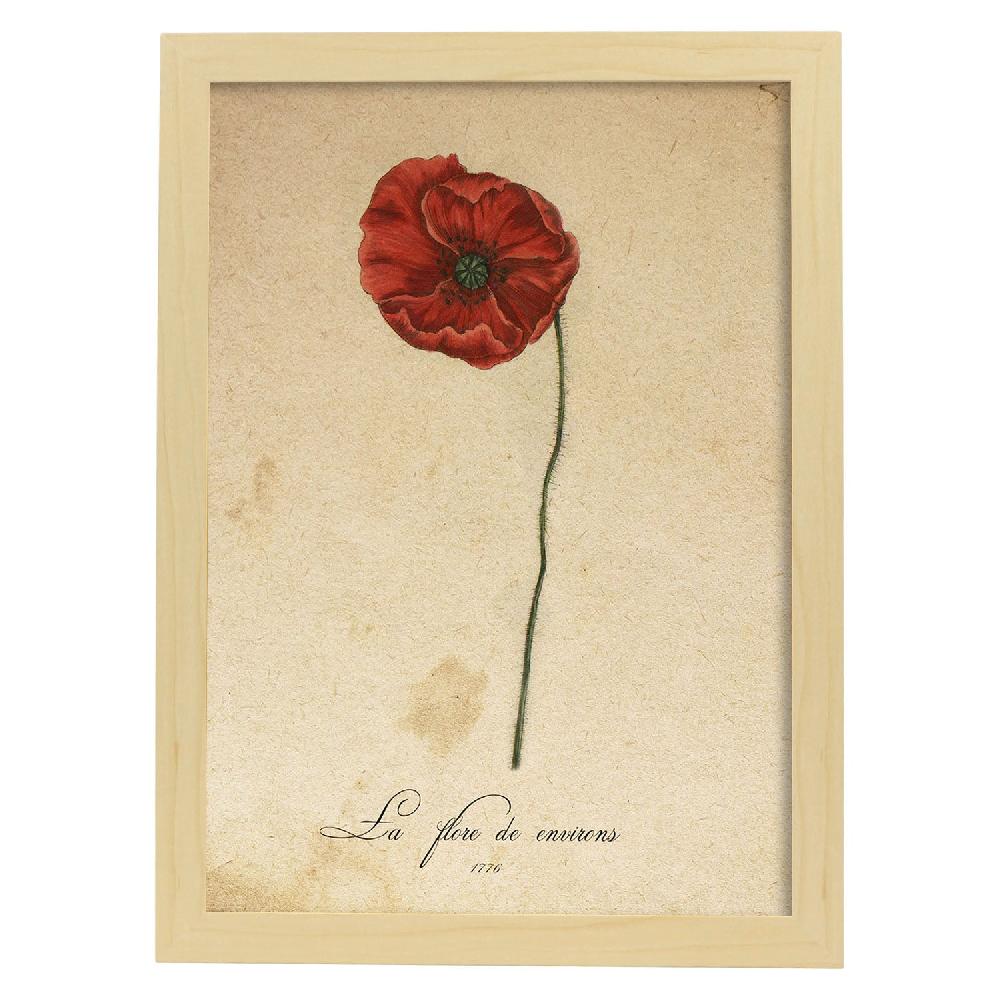 Nacnic Lámina Vintage De Flores La Flore Des Environs