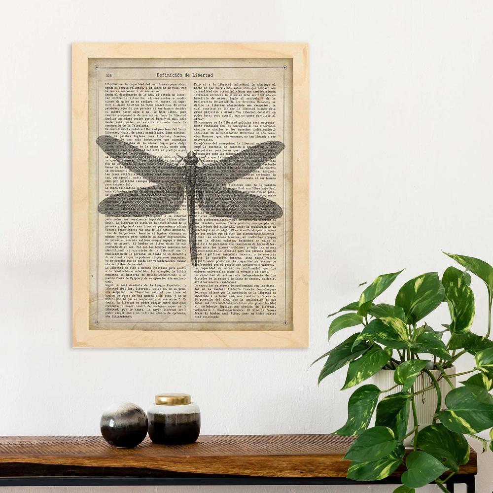 Nacnic Lámina Vintage De Libélula Con Definición De Libertad