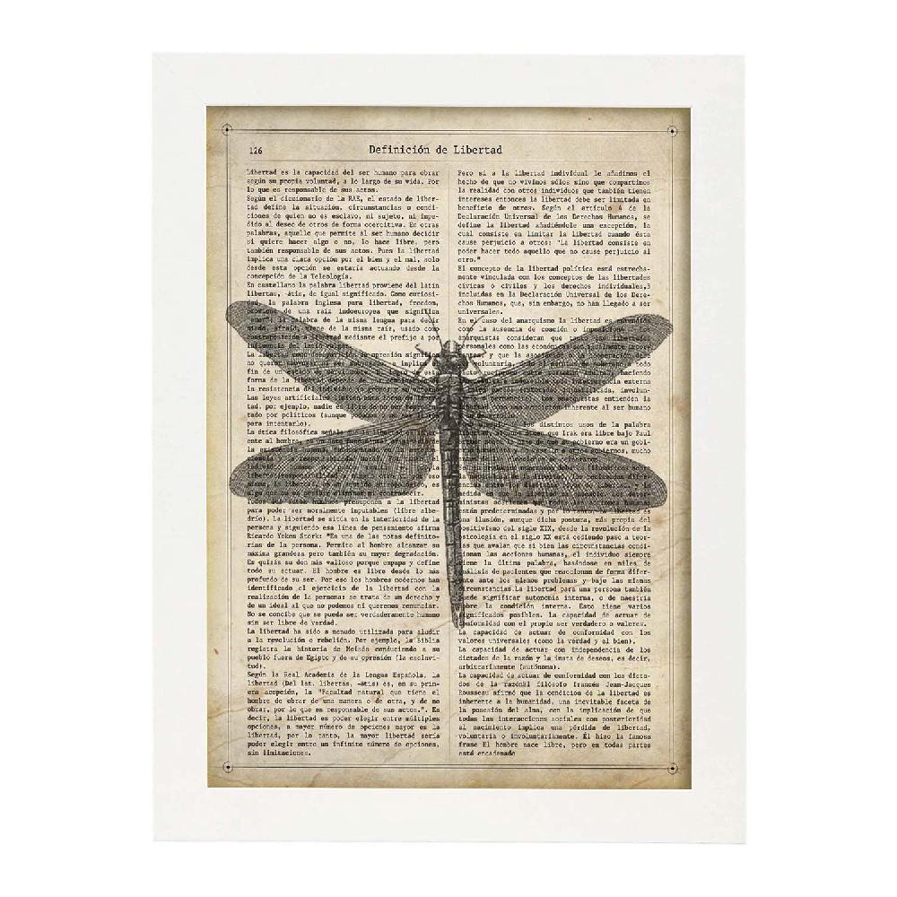 Nacnic Lámina Vintage De Libélula Con Definición De Libertad