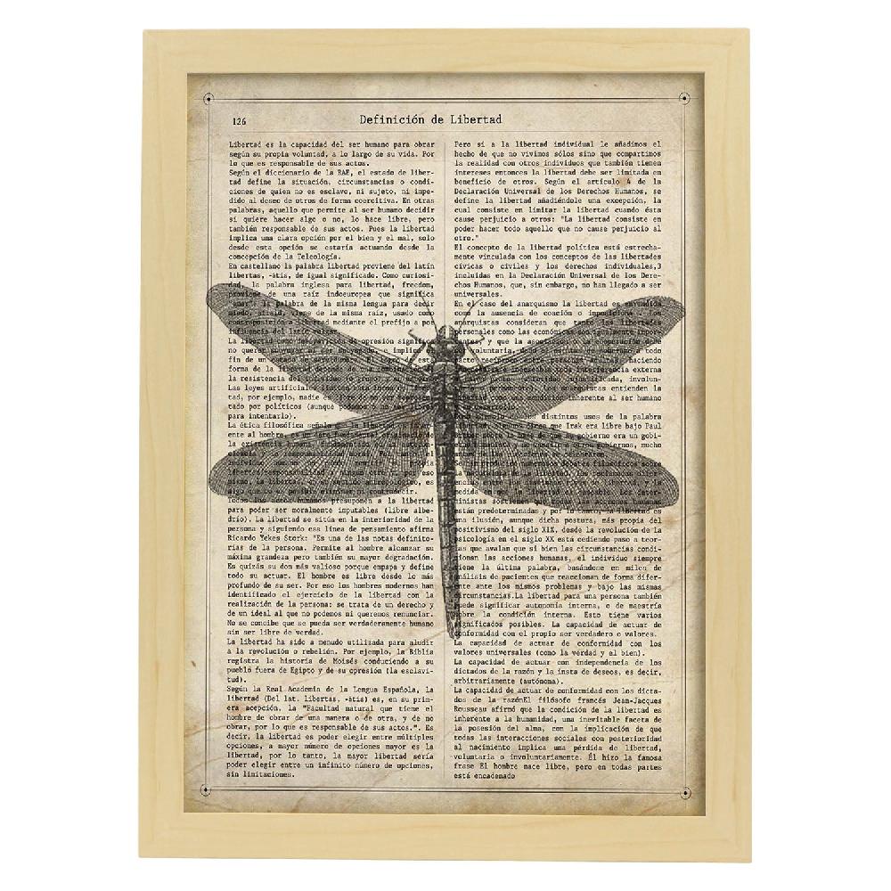 Nacnic Lámina Vintage De Libélula Con Definición De Libertad