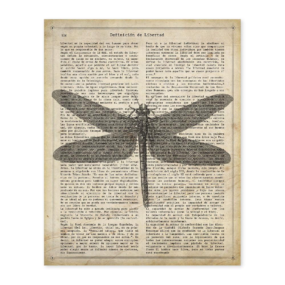 nacnic Lámina Vintage de Libélula con Definición de Libertad