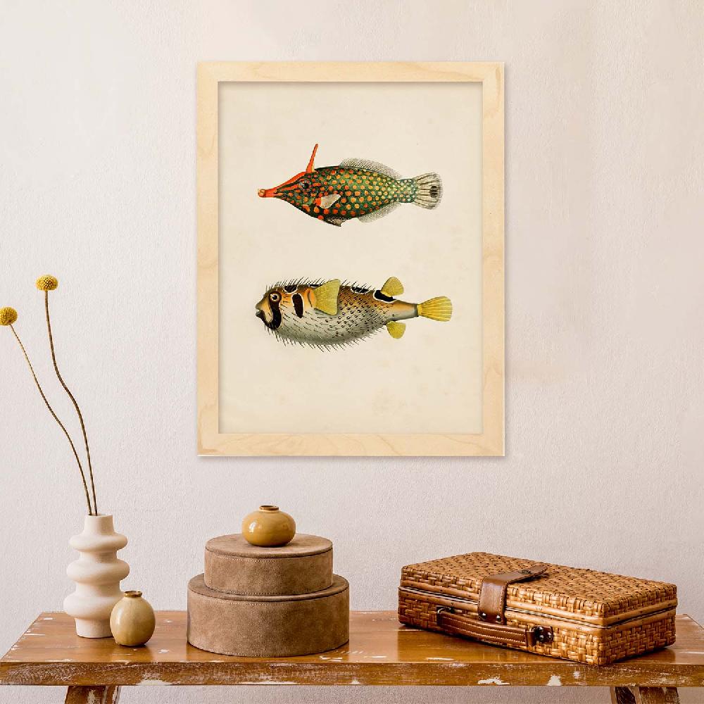 Nacnic Lámina Vintage De Peces Amarillo Verde Negro Y Rojo